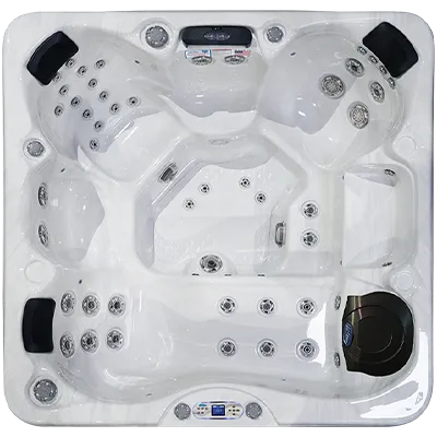 Avalon EC-849L hot tubs for sale in Frankford